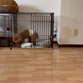 テンション低めの画像