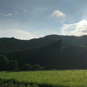 さっぱり簡単にの画像