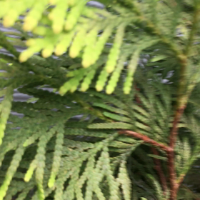 ♡お世話♡の画像