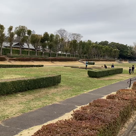 往復ダッシュ(Bグループ)③の画像