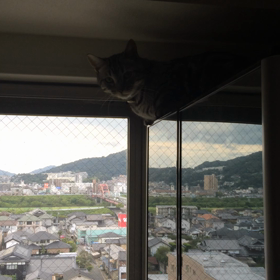 とらぢ@39の画像