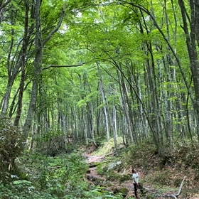 “自然と音遊び” プロジェクト始動！の画像