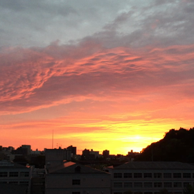 おはようございます。の画像