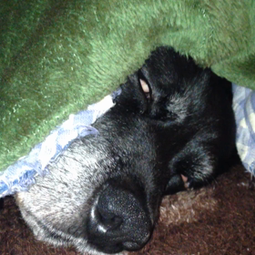 こりゃもうホラーですT_Tの画像