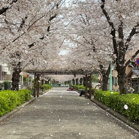 奇跡のような風景の画像
