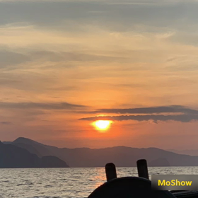 2019.8.11ケンサキイカ調査パート2の画像