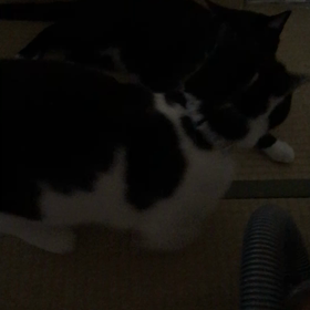 れおんとえるの画像