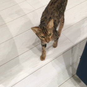 投薬 6日目の画像