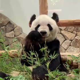 October 25, 2019の画像