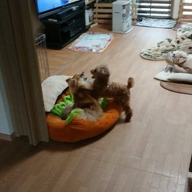 ストレス溜まるよね‼️の画像