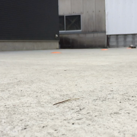 走行トレノの画像