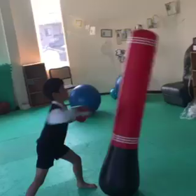 サンドバックもどき使ってみました。の画像