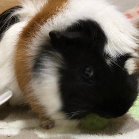 ひとりで　できるもん！の画像