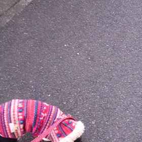 今年もありがとうございました！の画像