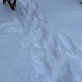 鈴鹿ブリオの画像