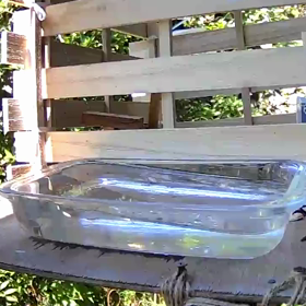 すぎぴたんの事件簿シーズン2　328話（長風呂！ヤマガラ）の画像