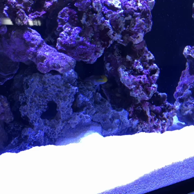 サロン風景変わります☆の画像