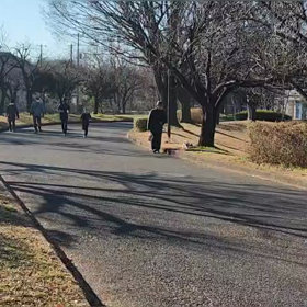 12/29 1500m③の画像