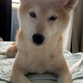 お盆休みの画像