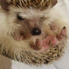 その後のハグの画像