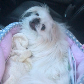 ◆魔法はないけどの画像