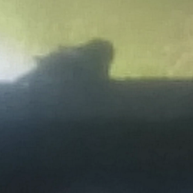 ツバメの親子飛ぶ練習の画像