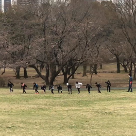 芝生坂ダッシュ(Bグループ)⑭の画像