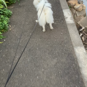 あささんぽは、違うコースへの画像