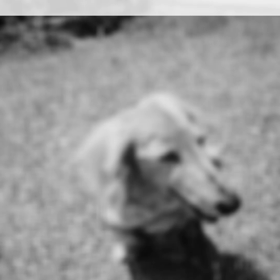 ビよういんの画像