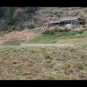 ３月３１日現在   ほぼ満開。ドローンにて。の画像