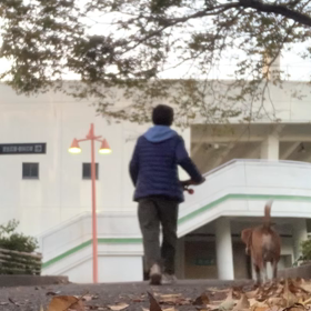 スケボー練習中の画像