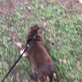 ♪お散歩動画♪代々木公園♪②の画像