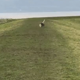 おかしいなの画像