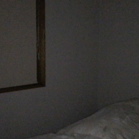 初めて動画を撮ってみました！の画像