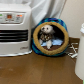 久しぶりにレアルと一緒！の画像