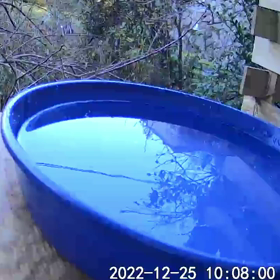 すぎぴたんの事件簿シーズン3　129話（真冬の水浴び）の画像