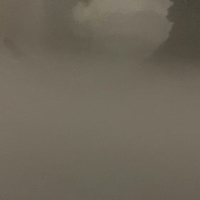 ゴジラ愛❣️①の画像