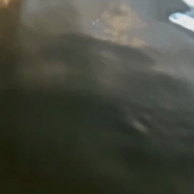 ヌーランドの画像