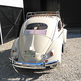 お久しぶり♪の画像