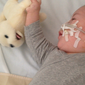 今日のつばちゃんの画像