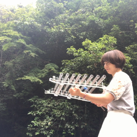 森の中で…の画像