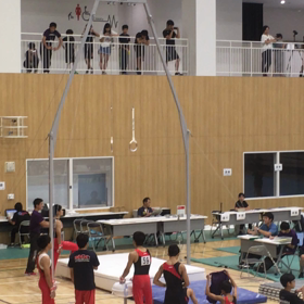 体操競技大会に行ってきましたの画像