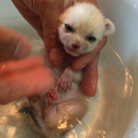 ★お風呂だいすき〜★の画像