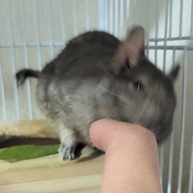 顔がたまらん…！！の画像