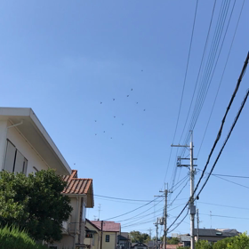 自衛隊？ ヘリの群れの画像