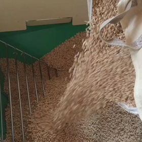 精米作業の画像