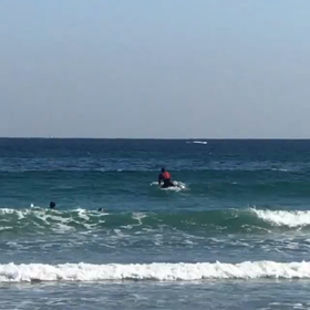 たまたまの画像