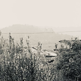 三月なのに。の画像