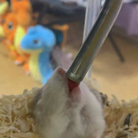 終わってしまった☆の画像