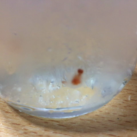 冬の使者の画像